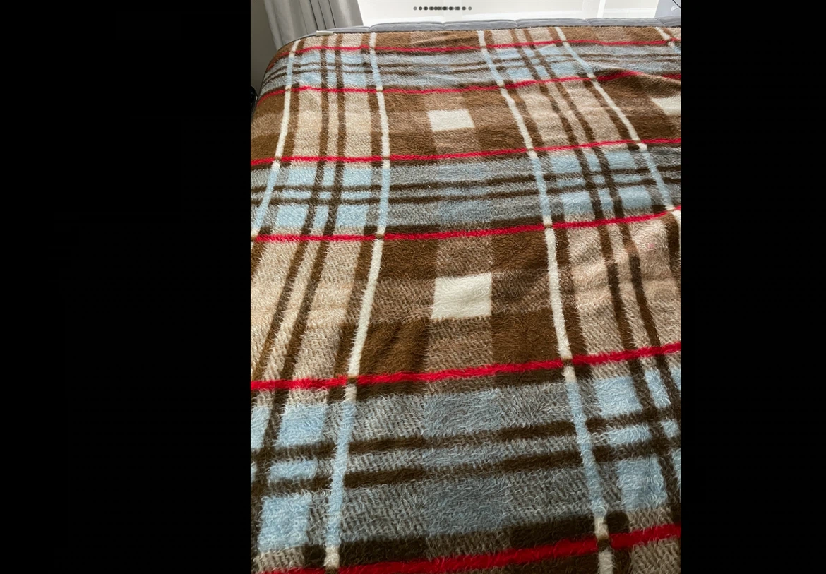 Biederlack Plaid Throw Blanket