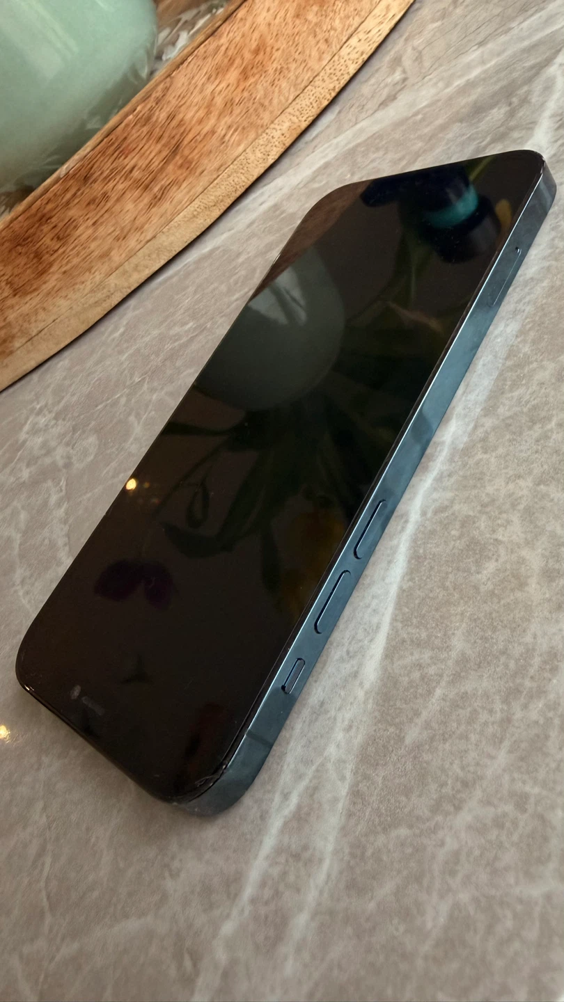 Apple iPhone 12 Pro Pacific Blue - photo 3