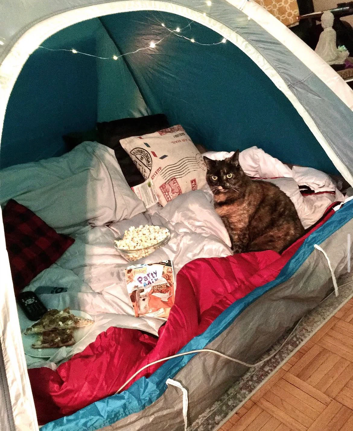 Ozark Trail Junior Dome Tent - photo 2