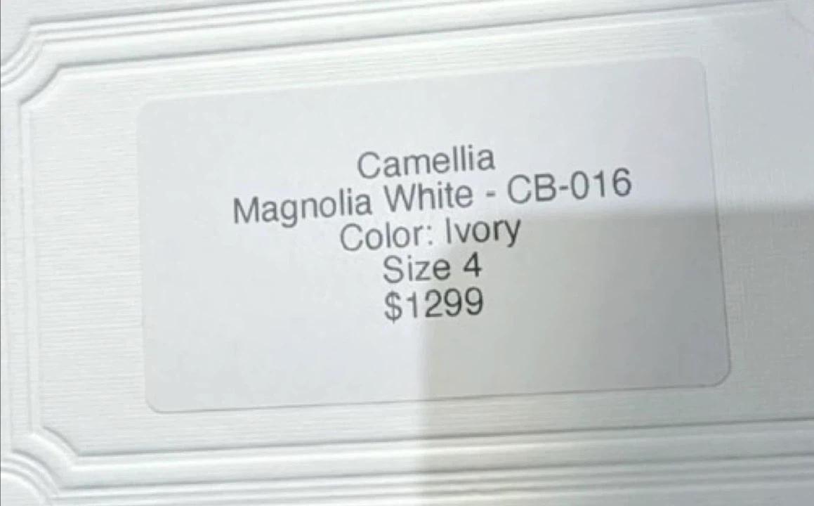 Camellia Magnolia White Wedding Dress - Ivory, Size 4 - photo 2