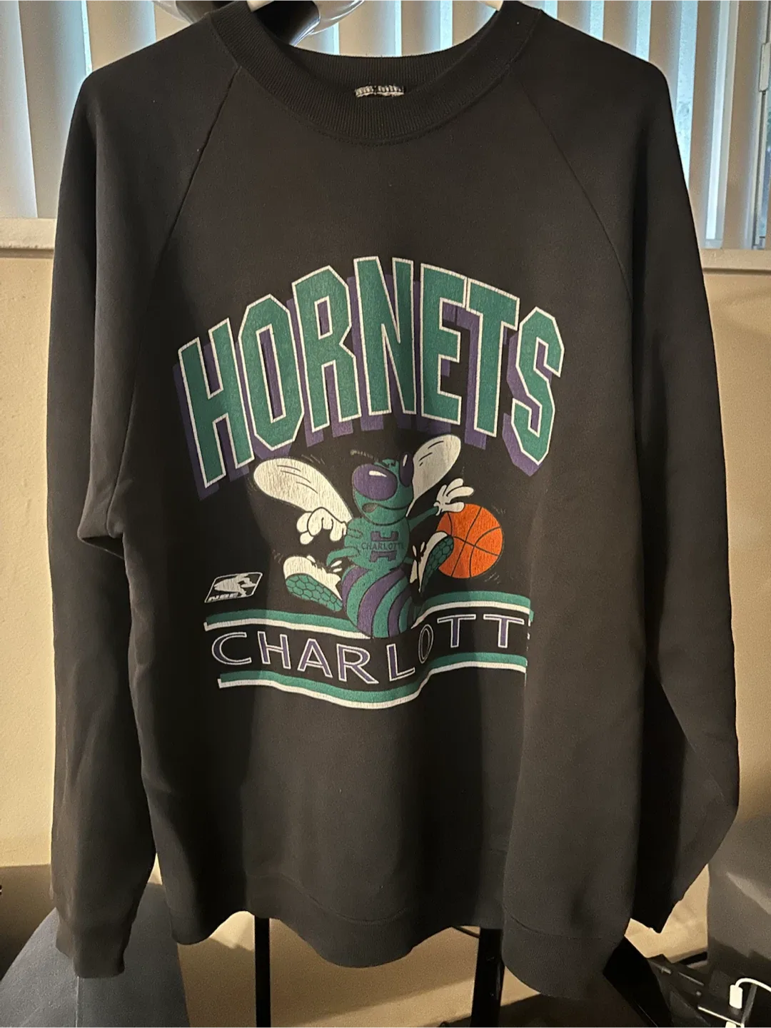 Vintage 90s Charlotte Starter Hornets Sweatshirt