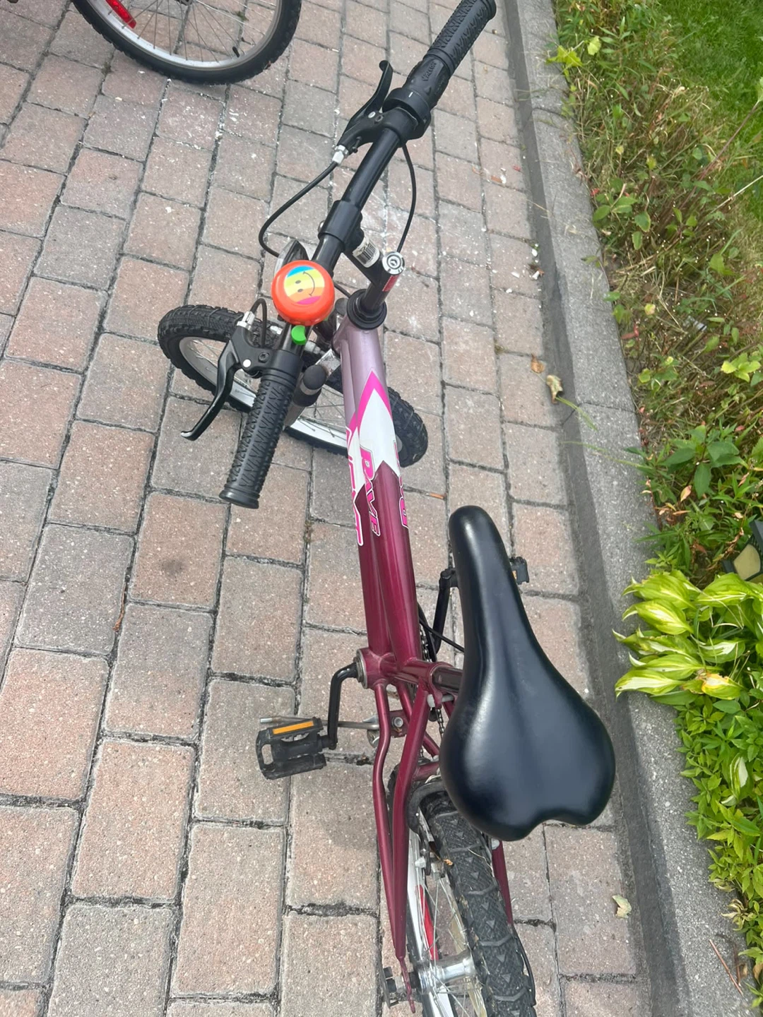 Triumph Laser Youth Bicycles