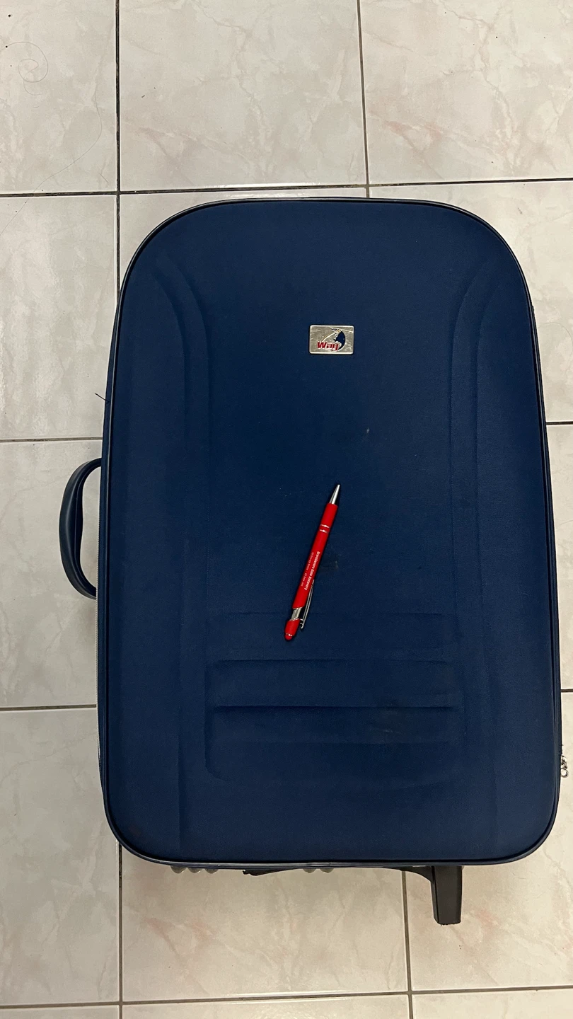 WAG Blue Rolling Suitcase