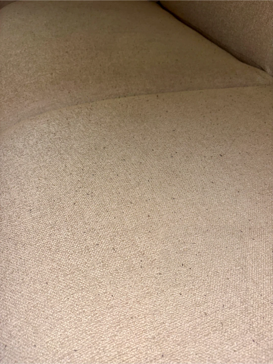 Sofa in Sand Chenille Tweed - photo 3