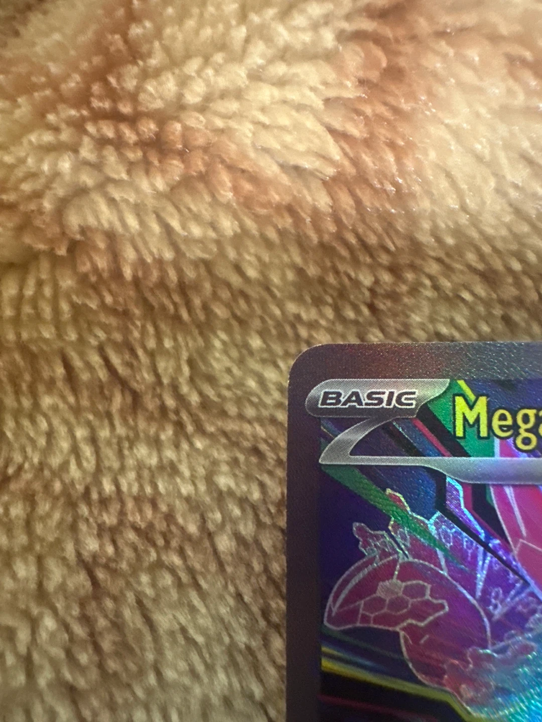 Zygarde EX - photo 4