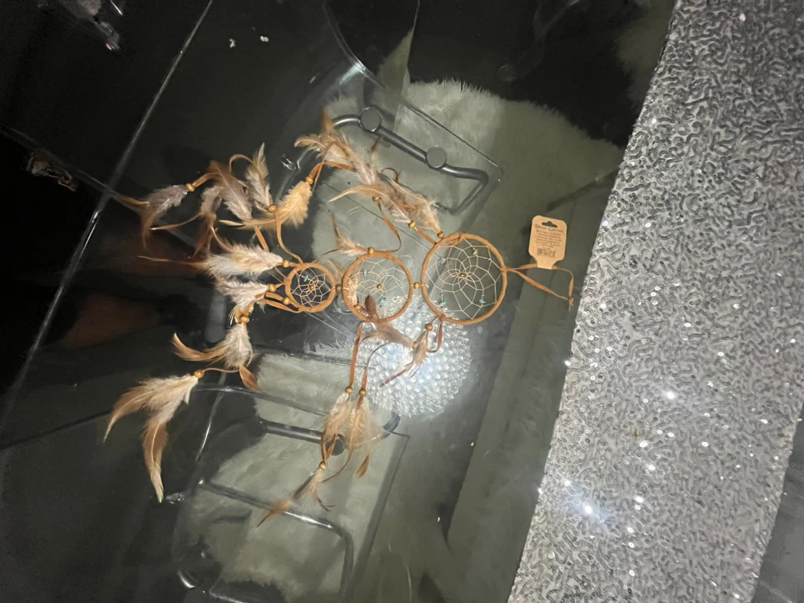 Brand new Dream Catcher wall hanging