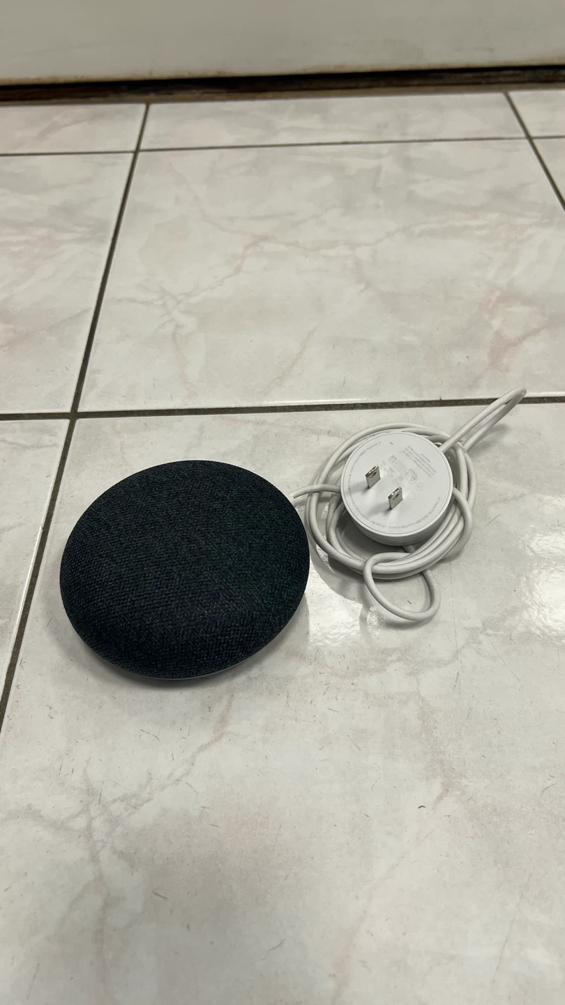Google Nest Mini Smart Speaker