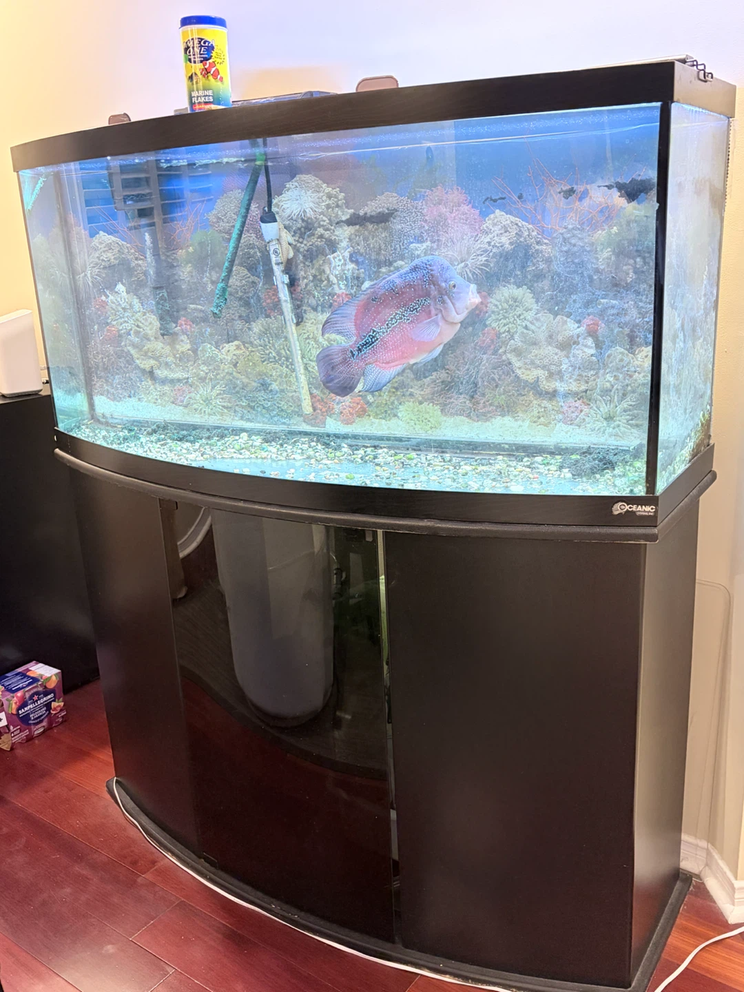 Oceanic Systems Aquarium and Stand