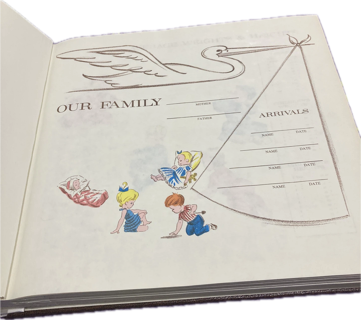 Vintage Memories Family Record Book - photo 2