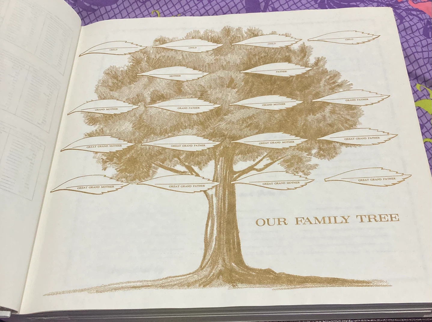 Vintage Memories Family Record Book - photo 5