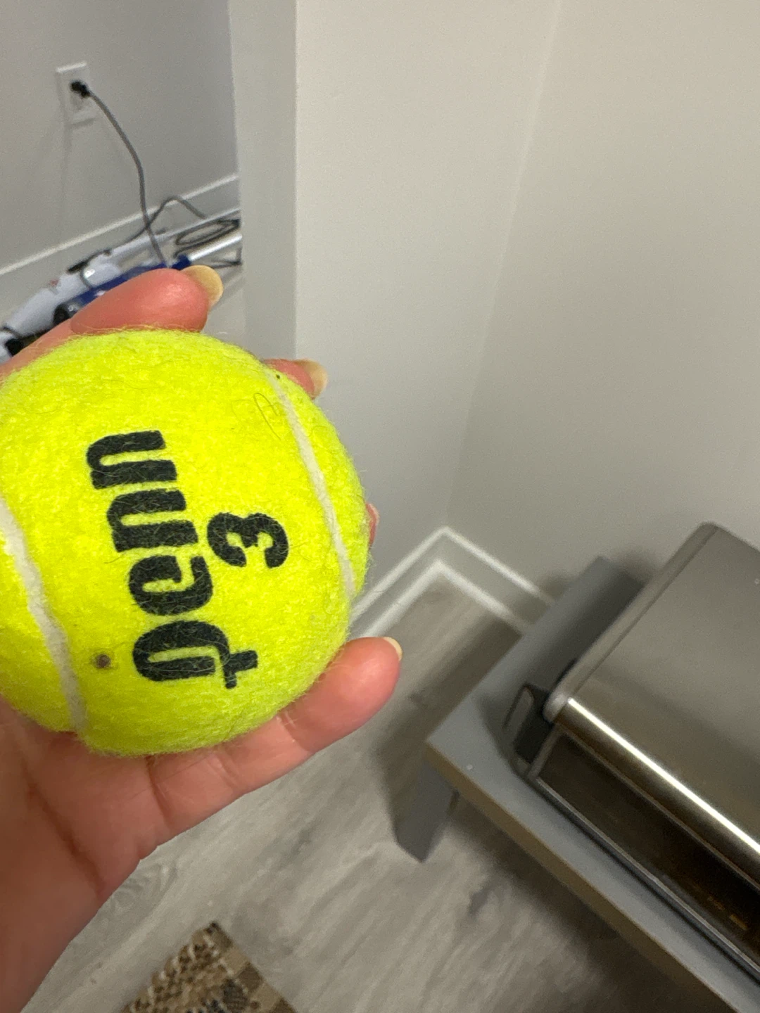Penn tennis ball