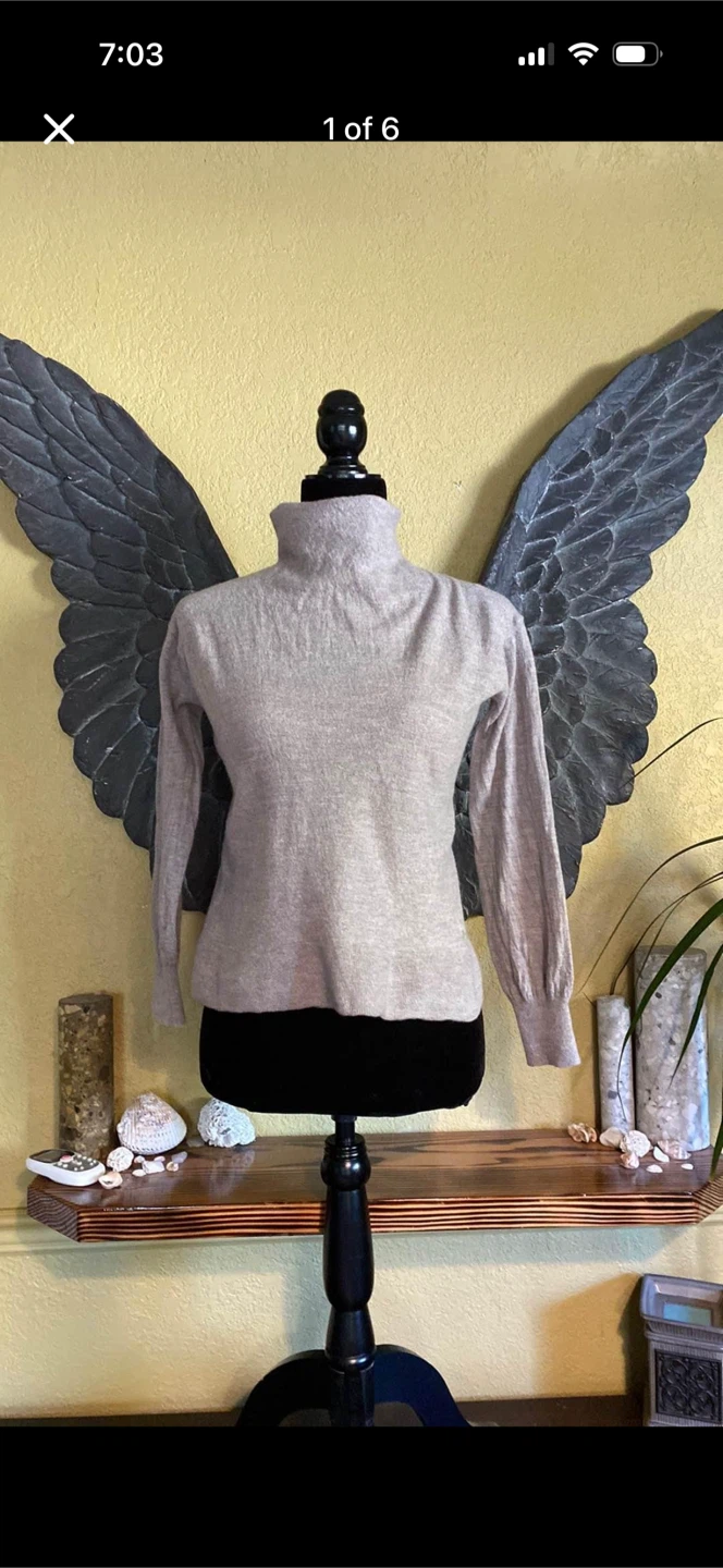 Merino Wool Turtle Neck Sweater