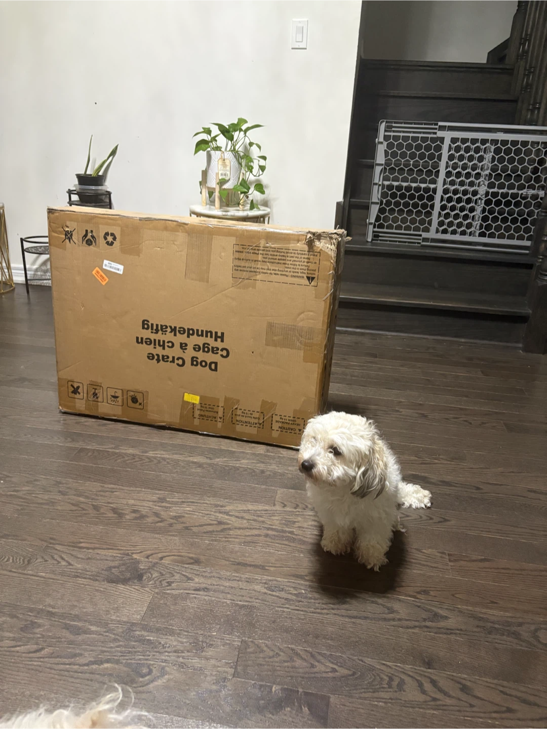 Furniture Style Dog Crate - photo 2