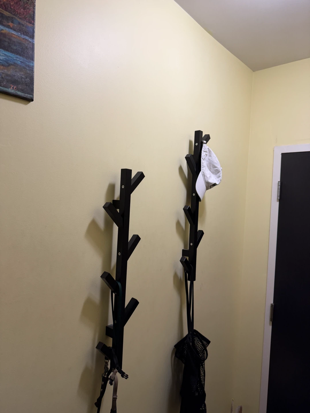 Set of Two Black Wall-Mounted Coat Racks