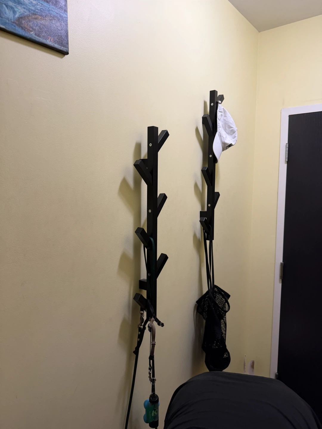 Set of Two Black Wall-Mounted Coat Racks - photo 2