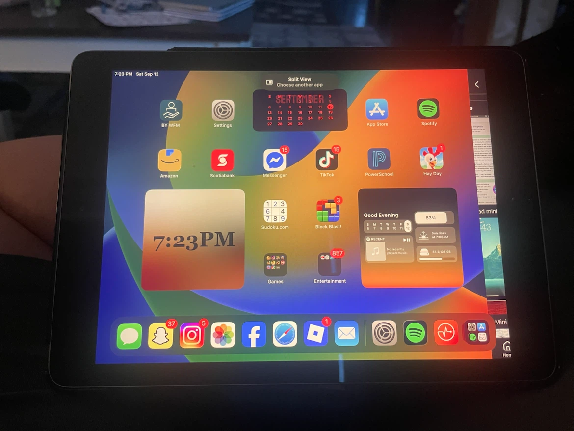 Apple iPad 5th gen