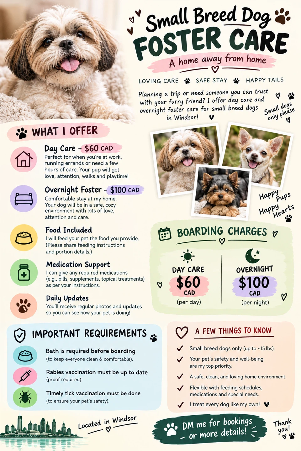 Small Breed Dog Foster Care Services in Windsor