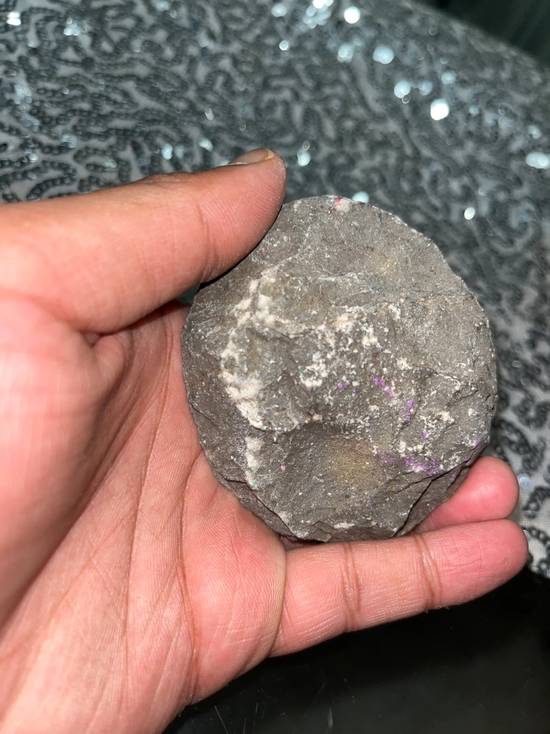 Trilobite fossil - photo 3