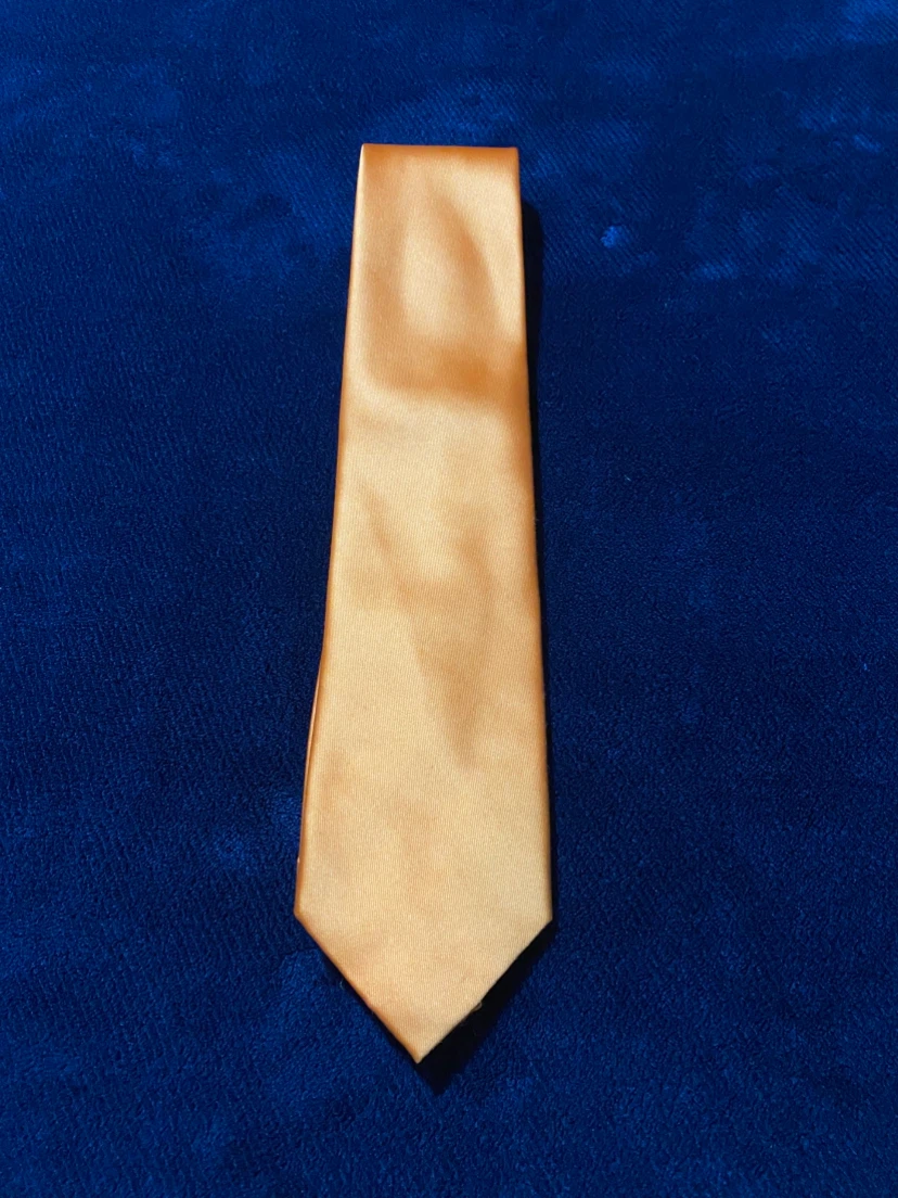 Shiny Orange Necktie ***