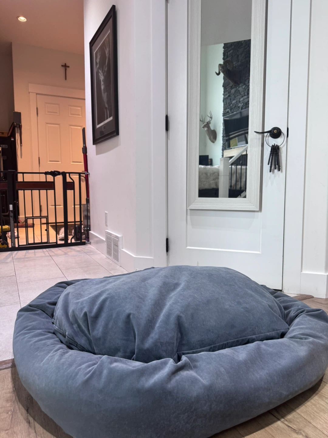 Mammoth Large Breed Dog Beds (2 available) - photo 2