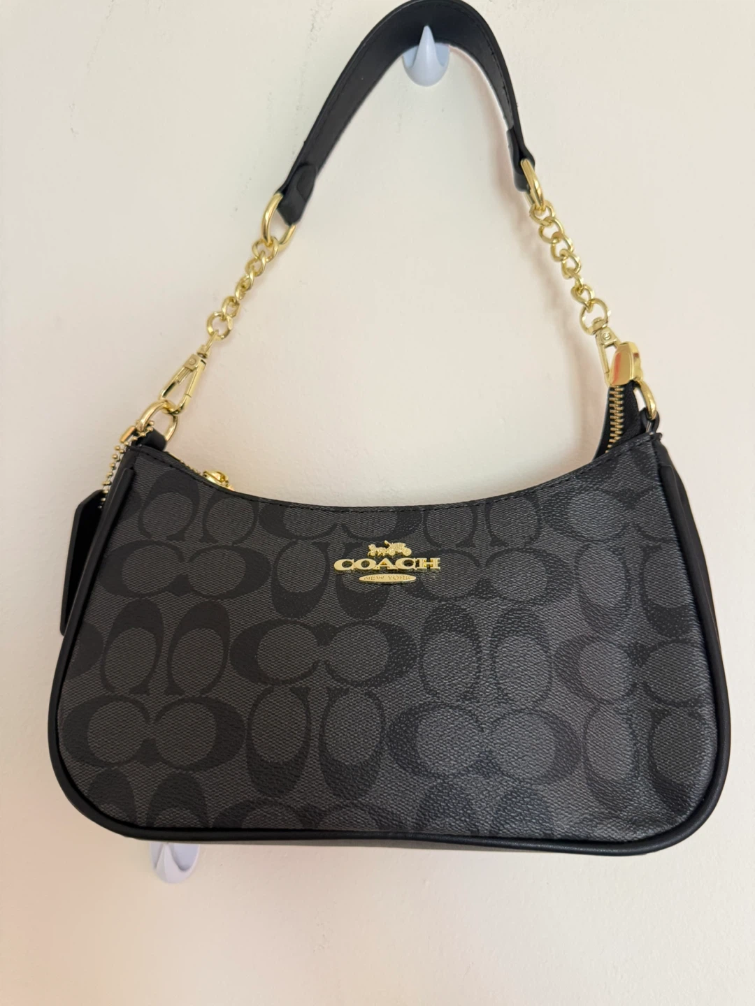 Coach Signature Canvas Mini Bag