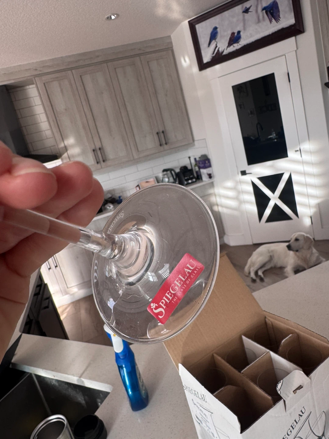 Brand New Spiegelau Vino Grande White Wine Glasses - photo 5