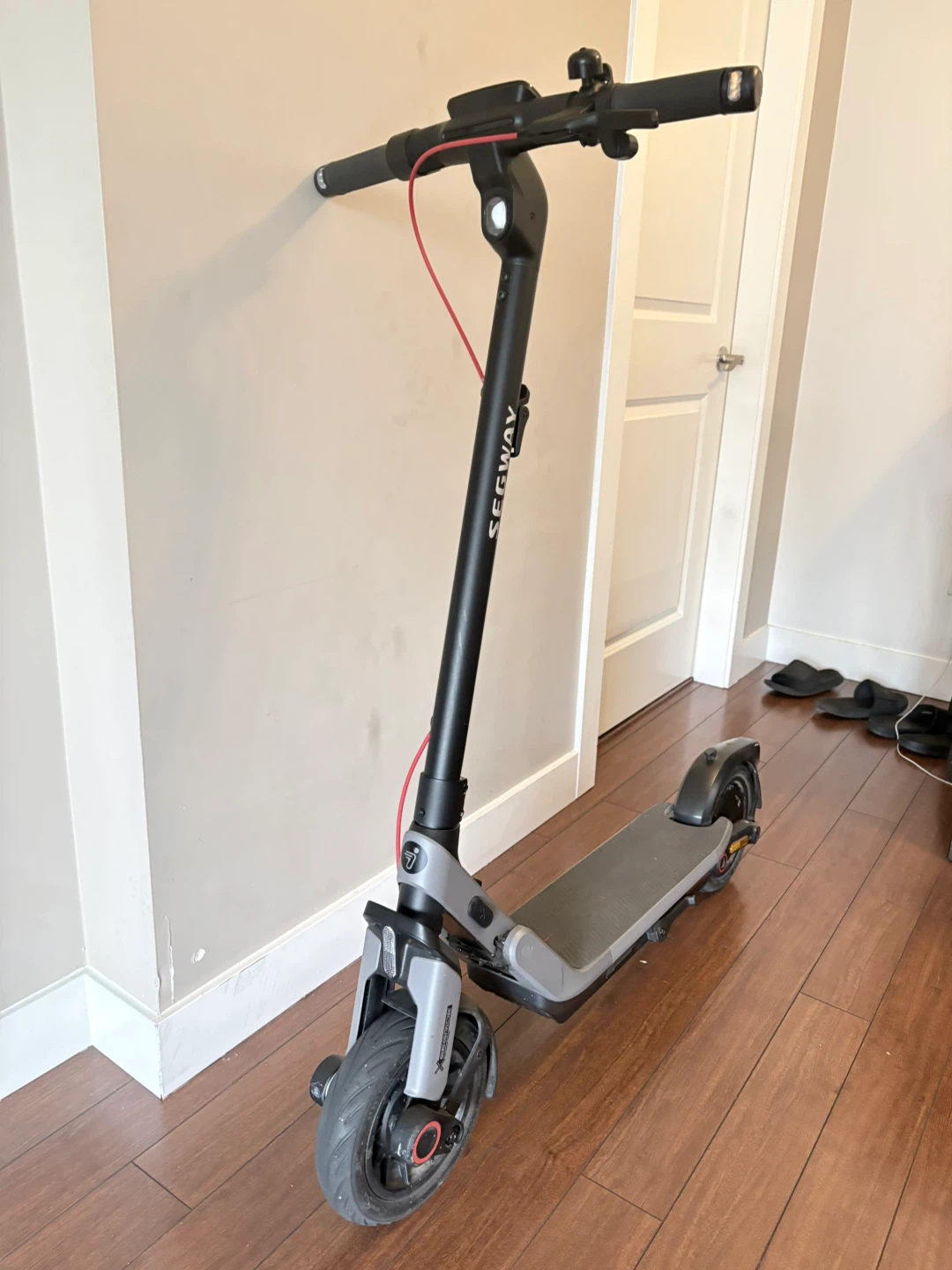 Segway Electric Scooter