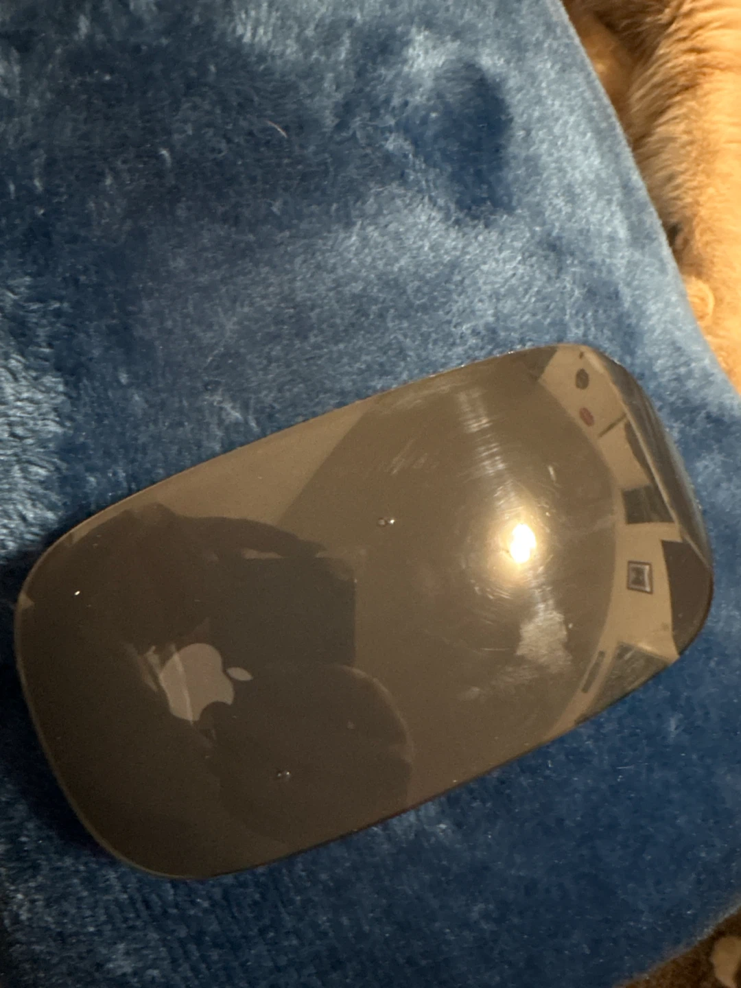 Apple Magic Mouse - Space Grey - photo 2