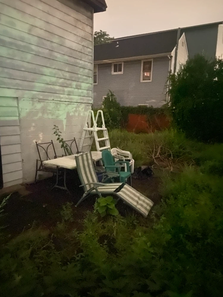 Above Ground Pool Ladder - photo 2