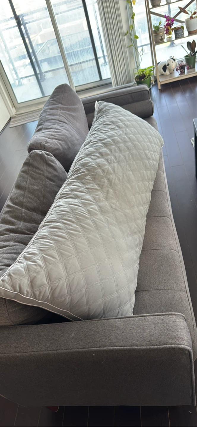 LEEDEN Grey Body Pillow 21x54