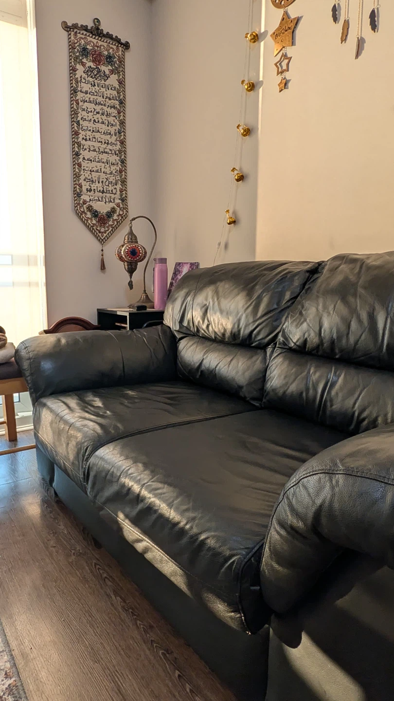Black Leather Two-Seater Sofa - photo 5