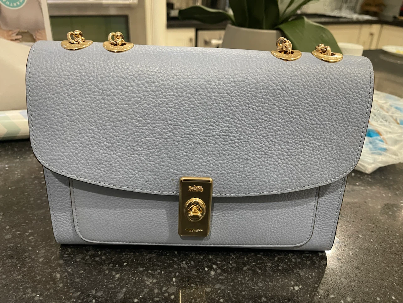 Coach Leather Shoulder Bag in Light Blue