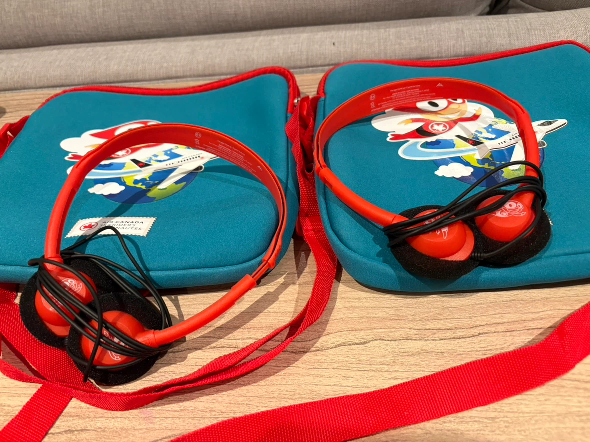 Kids Headphones and Carrying Bags
