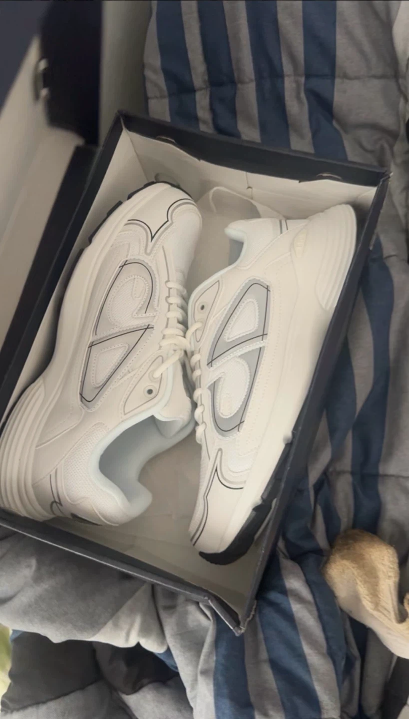 Dior B30 Sneakers White