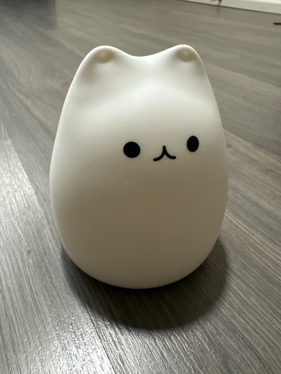 Small cat shaped lantern