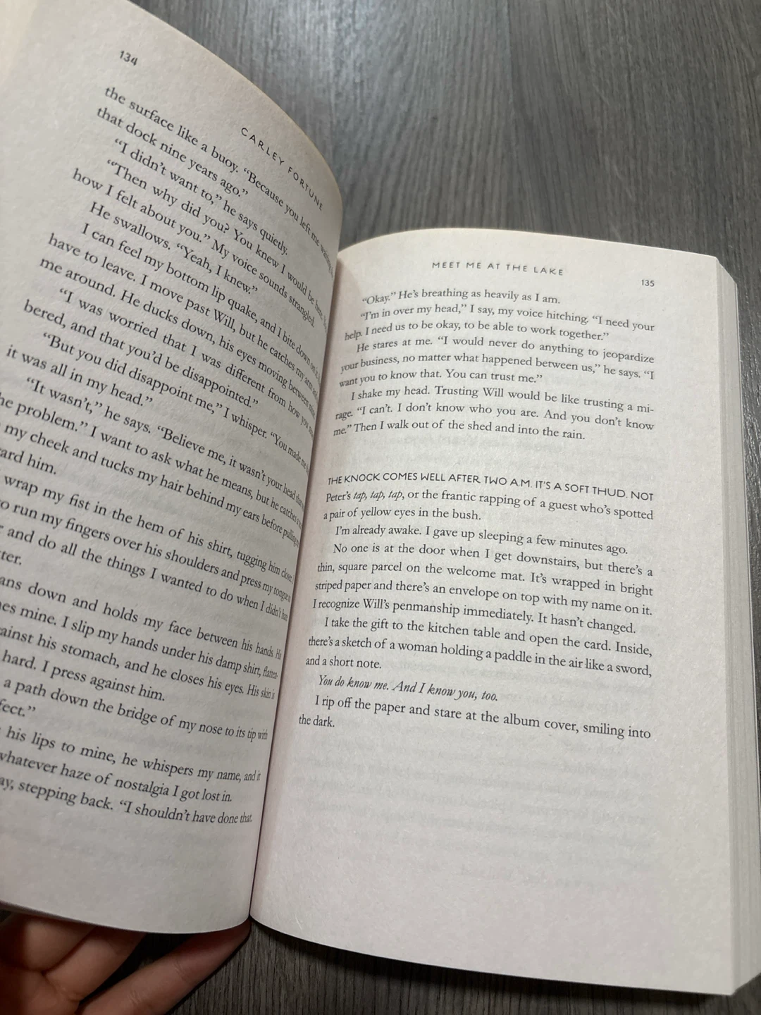 Meet Me at the Lake book - photo 2