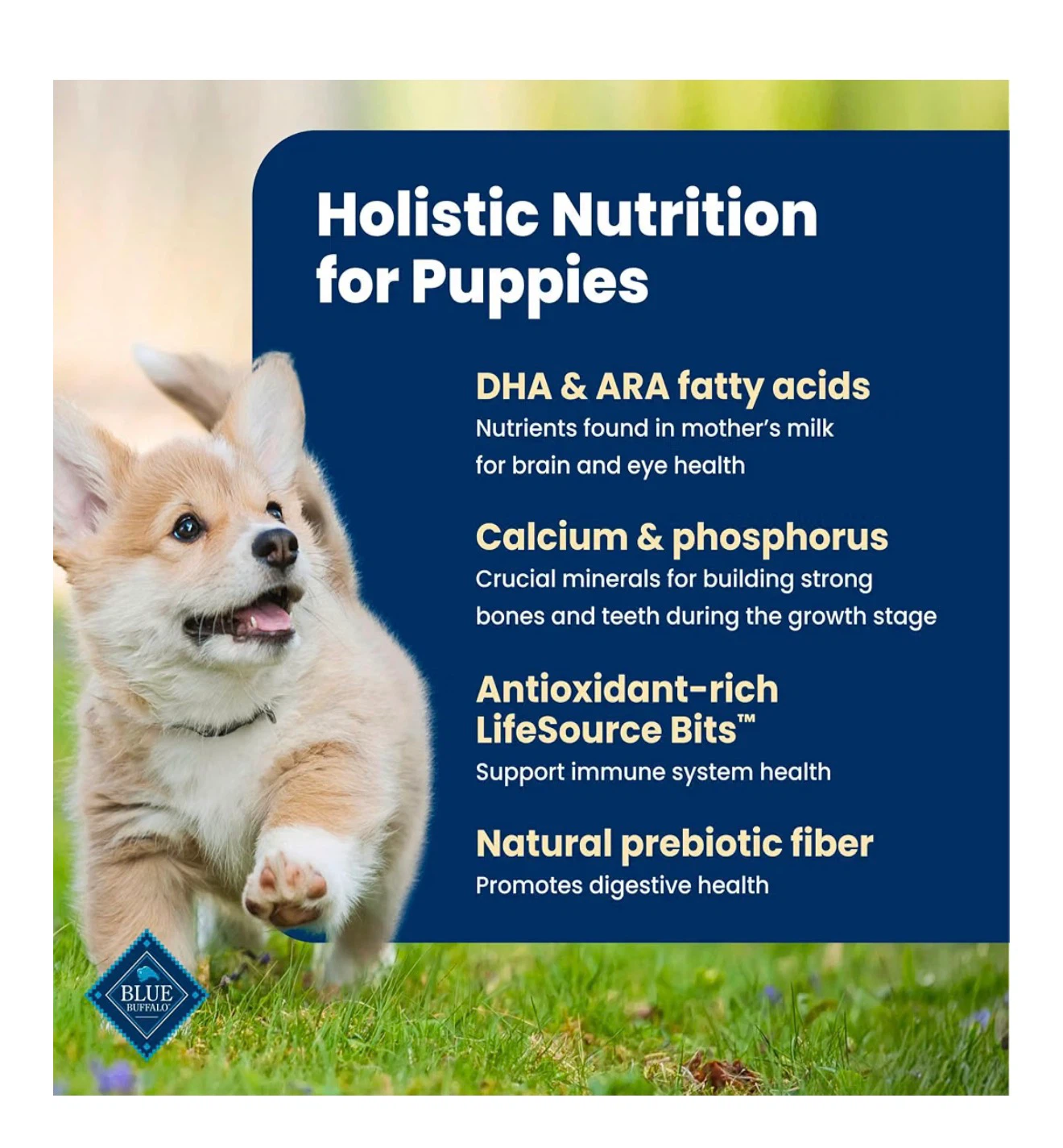 Blue Buffalo Life Protection Puppy Food 5 lbs - photo 5