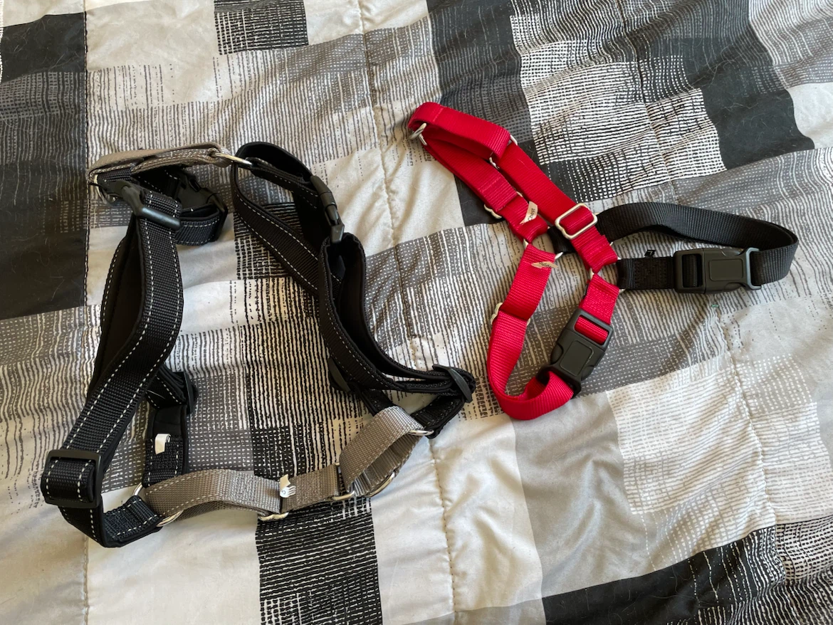 Large Easy Walk Dog Harnesses