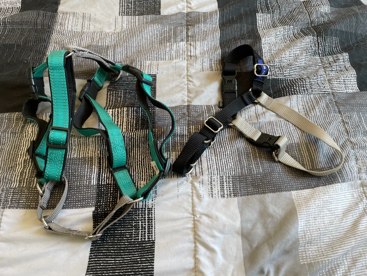 Medium Easy Walk Dog Harnesses