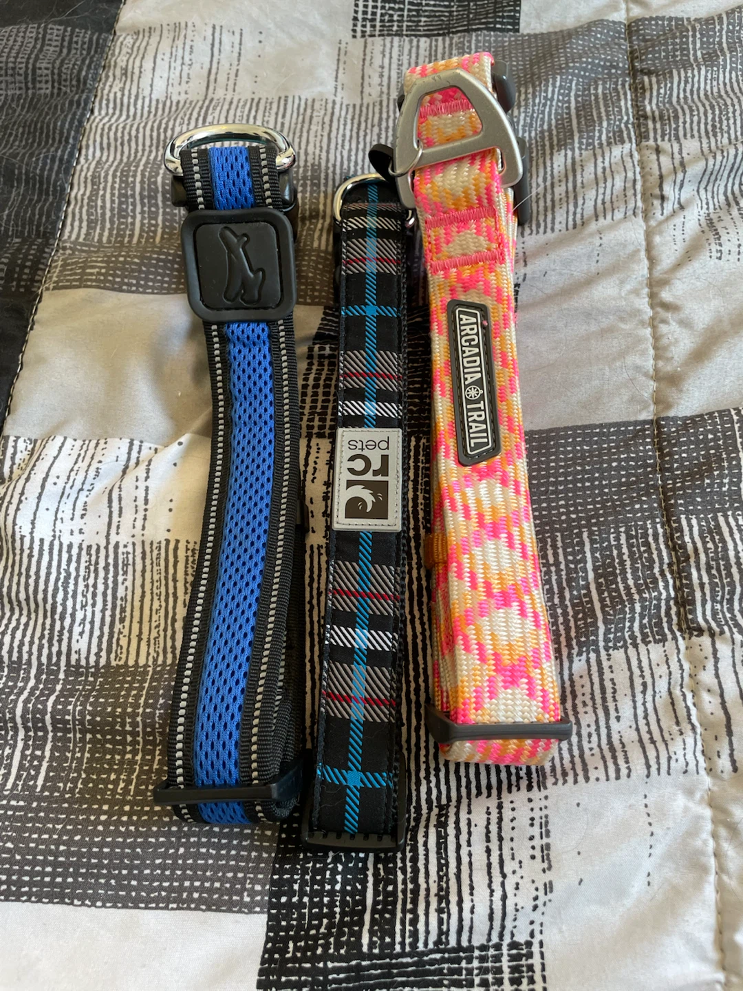 Large Dog Collars