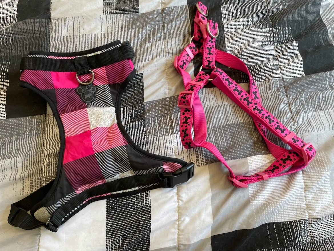 Large Dog Harnesses