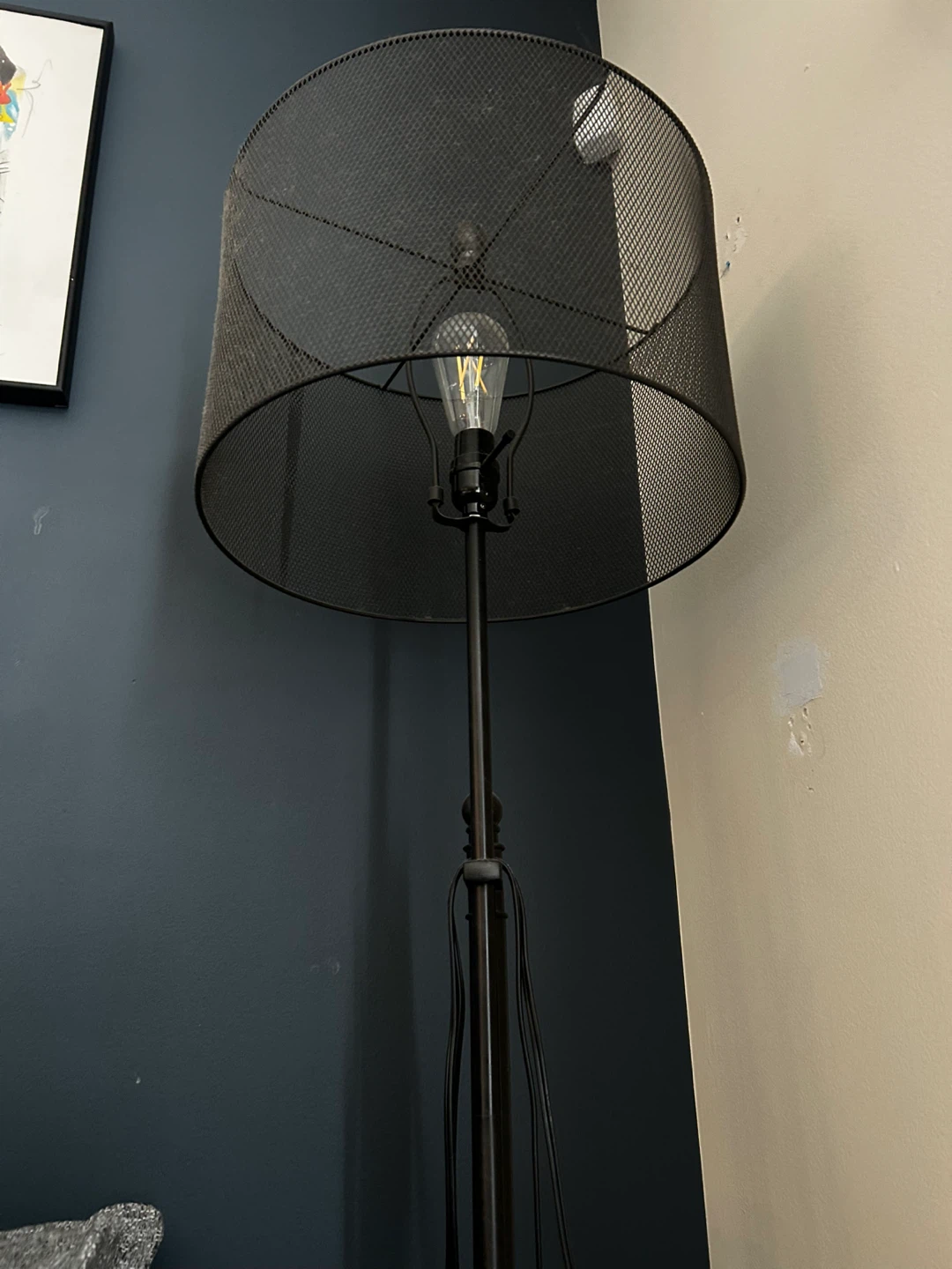 Industrial Mesh Metal Floor Lamp - photo 3