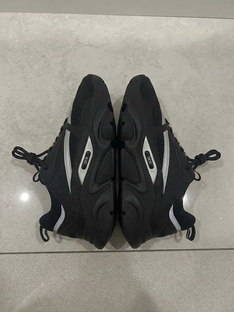 Dior B22