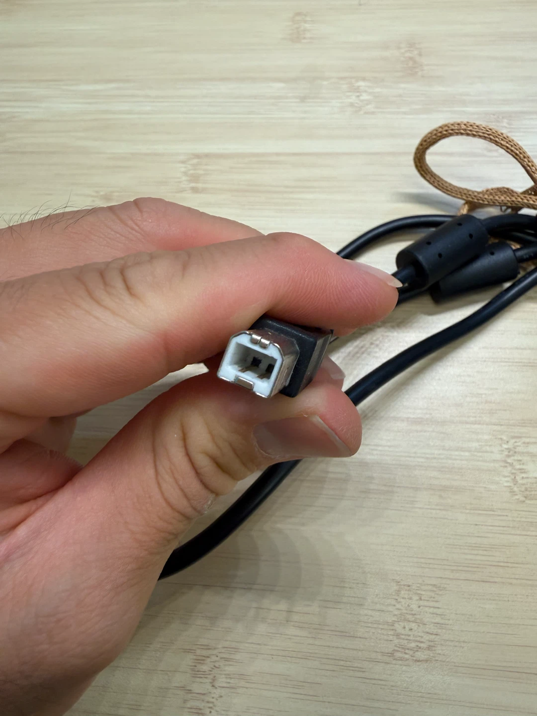 USB Type-A to Type-B Cable - photo 2