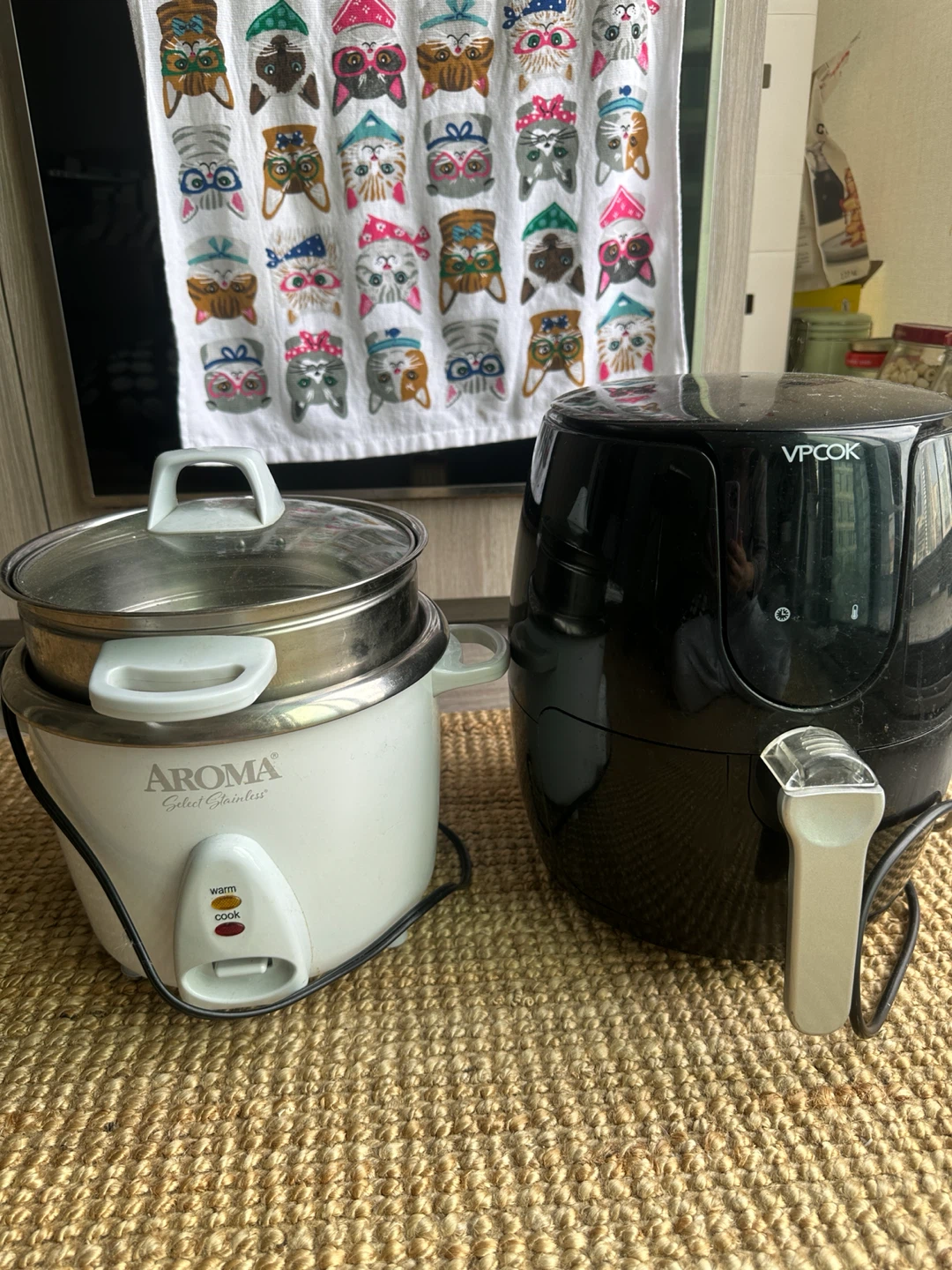 Broken Rice Cooker and Air Fryer