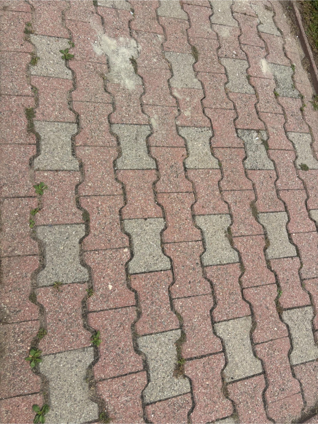Interlocking Concrete Paver Stones