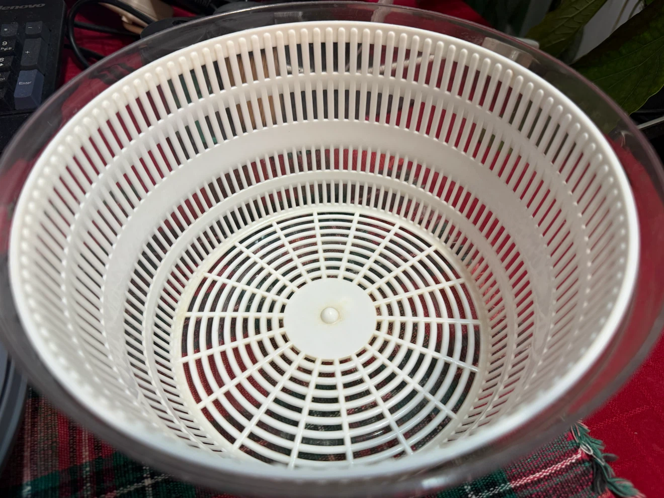Salton Electric Salad Spinner - photo 3