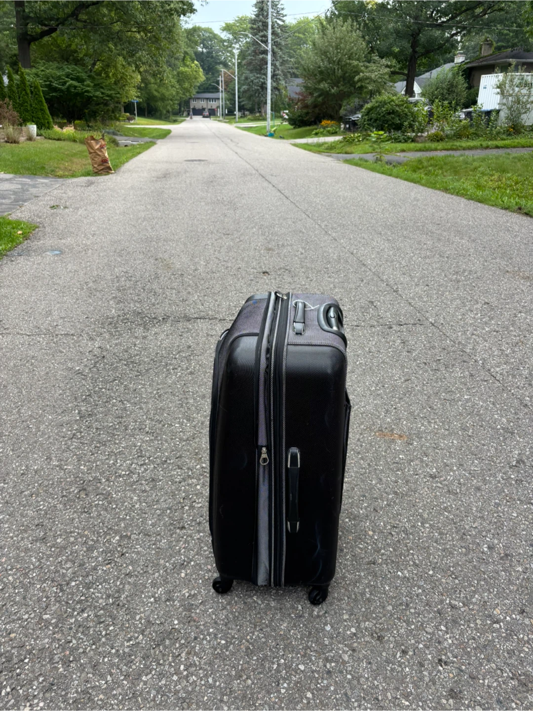 Huge Carry-On Suitcase - photo 3