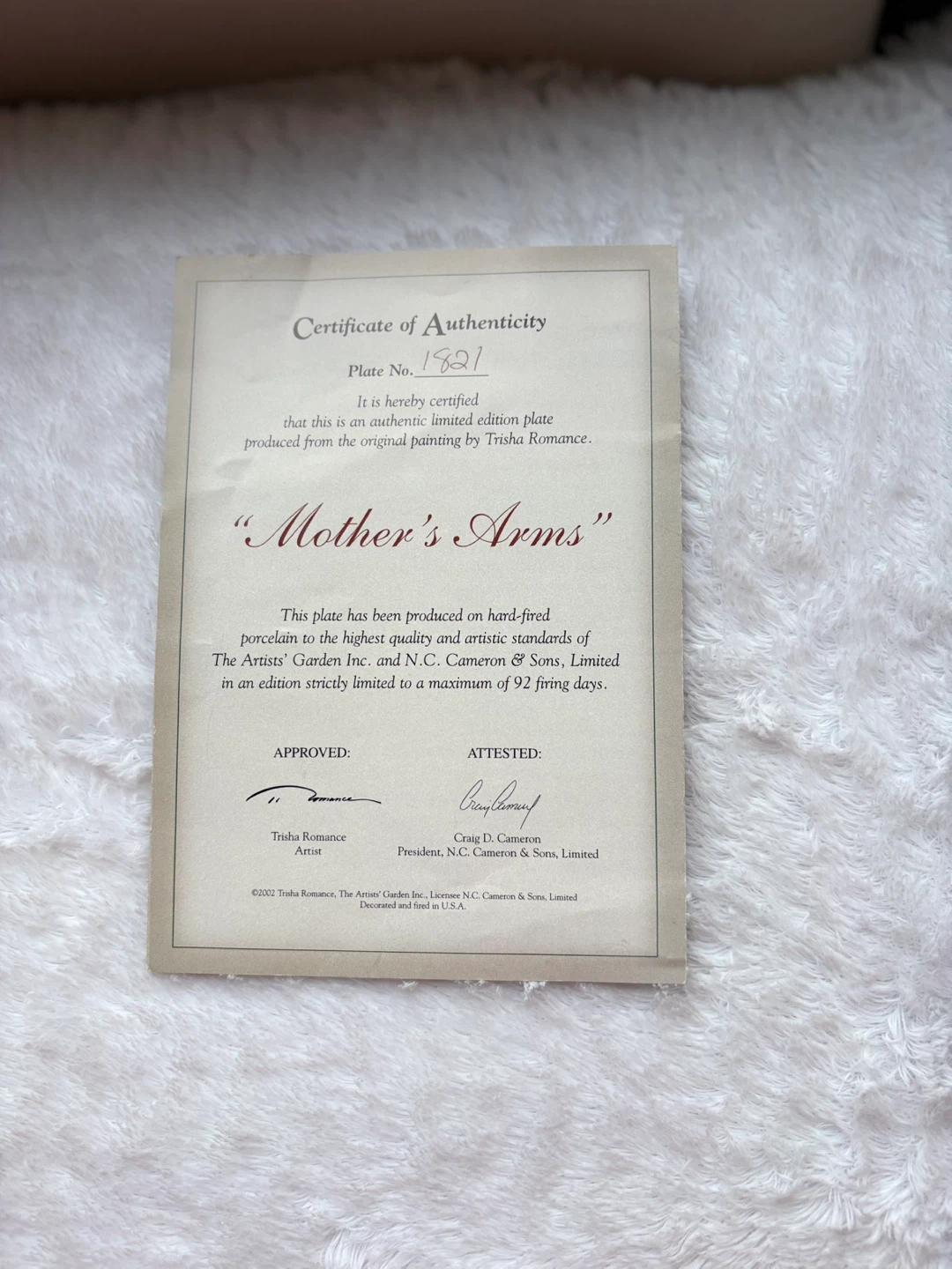 Trisha Romance Mothers Arms Collector Plate - photo 2