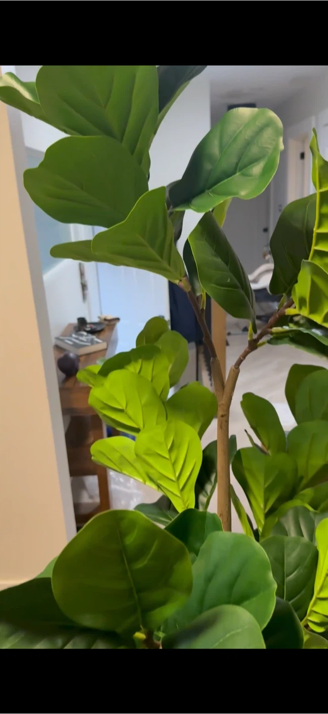 Artificial Fiddle Leaf Fig Plant